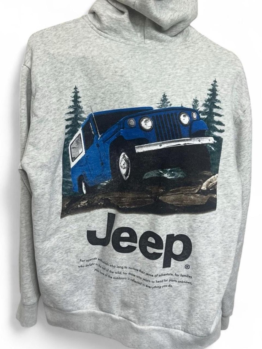 Hollister gray Jeep car graphic hoodie sweatshirt outdoors casual lounge